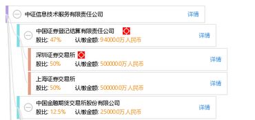 中證信息技術(shù)服務(wù)有限責(zé)任公司 軟件開(kāi)發(fā)的引領(lǐng)者與創(chuàng)新實(shí)踐者