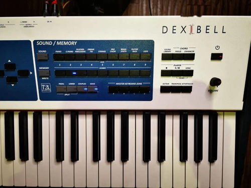 Dexibell S9對比雅馬哈機械鋼琴與工作站 選琴如品酒，硬件零售新視角